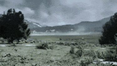 a black and white photo of a field with trees in the foreground and mountains in the background
