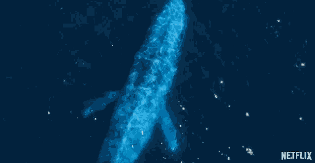 a blue whale is swimming in the ocean with a netflix logo behind it