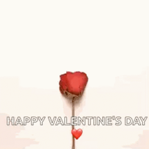 Love You Heart Rose GIF - Love You Heart Rose Happy Valentines Day GIFs