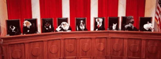 a row of dogs and cats sitting at a table