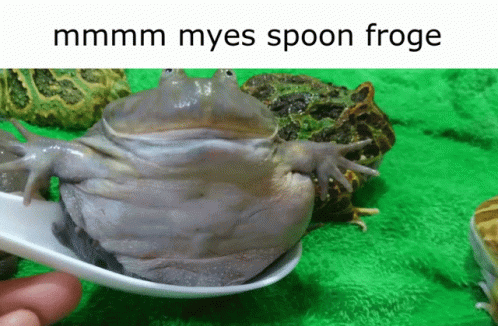 Myes Spoon Froge GIF - Myes Spoon Froge GIFs