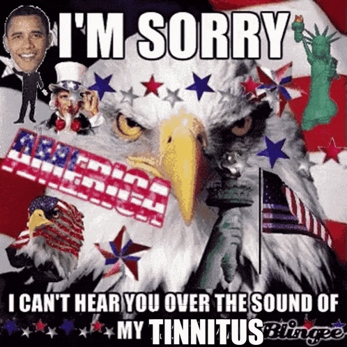 a picture of a bald eagle with the words i 'm sorry