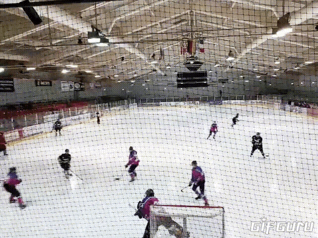 a hockey game is being played in a stadium with a gif guru logo on the bottom right