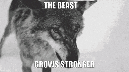 a black and white photo of a wolf with the words `` the beast grows stronger '' written above it .