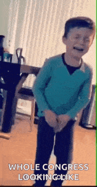 a young boy in a blue sweater is standing in a living room with his hands in his pockets .