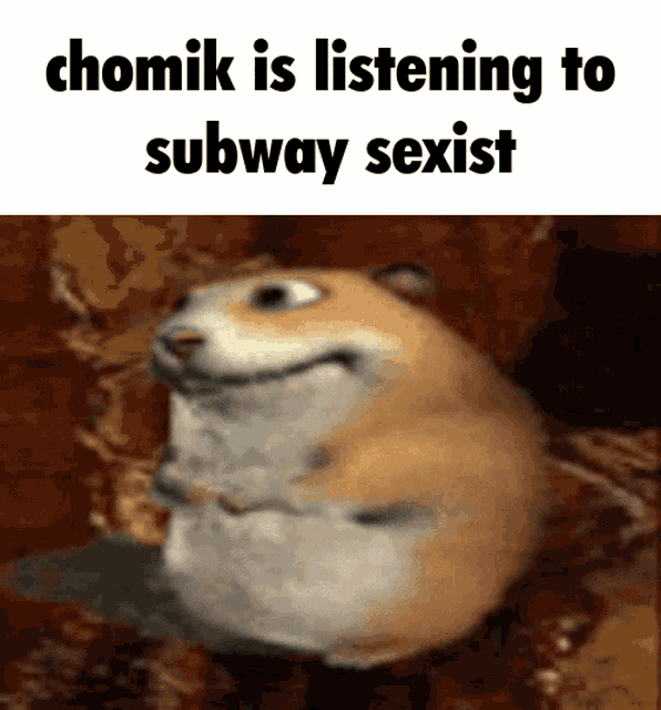 Chomik Is Listening To Subway Sexist Chomik Listening GIF - Chomik Is Listening To Subway Sexist Chomik Listening Chomik GIFs