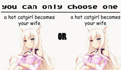 Choose One Catgirl GIF - Choose One Catgirl Anime GIFs