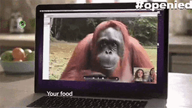 Palm Oil Free Orangutan GIF
