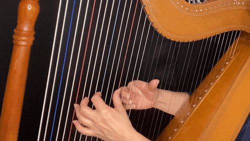 a person playing a harp with their hands on the strings