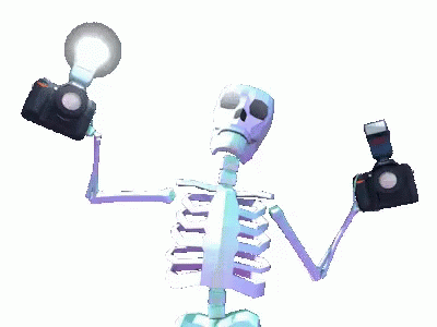 Skeleton With GIF - Skeleton With Cameras GIFs
