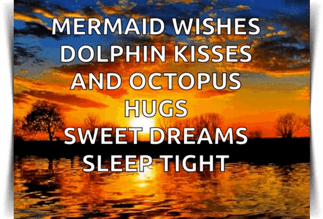 a mermaid wishes dolphin kisses octopus hugs sweet dreams sleep tight