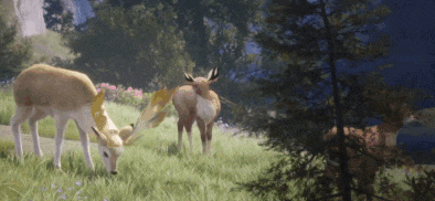 a couple of deer grazing in a grassy field