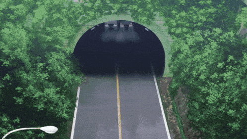 a road going through a tunnel with trees around it