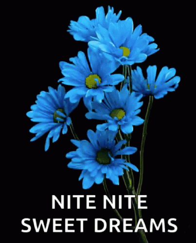 Nitenite Sweet Dreams GIF - Nitenite Sweet Dreams Flowers GIFs