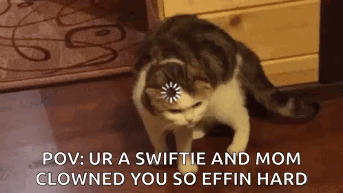 Cat Meme GIF - Cat Meme Cat Meme GIFs