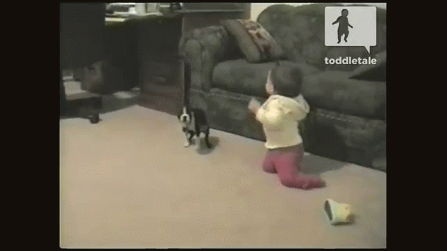 Oh Poop. GIF - Comedy Baby Firststeps GIFs