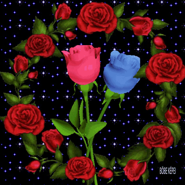 red and blue roses are surrounded by green leaves on a black background