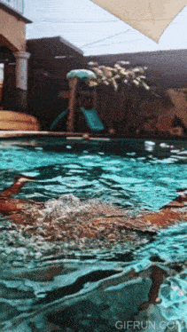 a person is swimming in a pool with the website gifrun.com visible in the corner