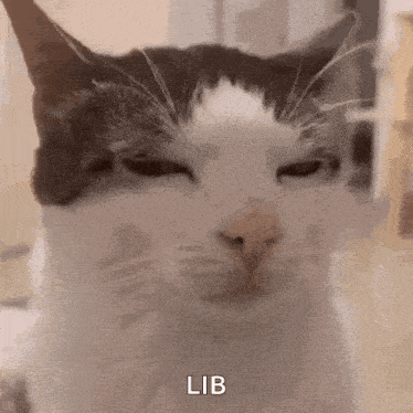 a close up of a cat 's face with its eyes closed and the word lib written below it .