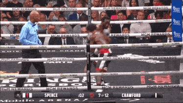 Terence Crawford Errol Spence GIF - Terence Crawford Errol Spence Boxing GIFs
