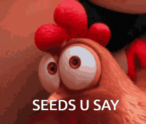 a close up of a cartoon chicken with the words seeds u say written below it
