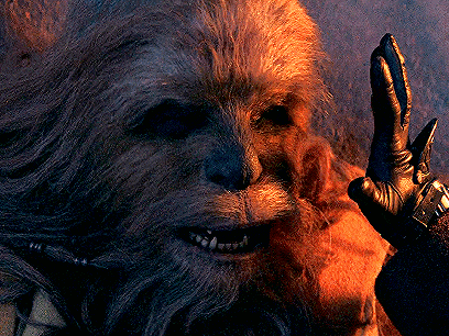 a close up of a chewbacca 's face with a hand reaching out towards it