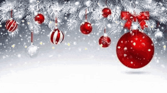 a christmas tree with red and white christmas decorations hanging from it .