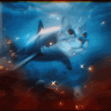 a cat is swimming with a shark in the water