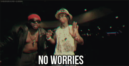 Trippy GIF - No Worries Wag Chill GIFs