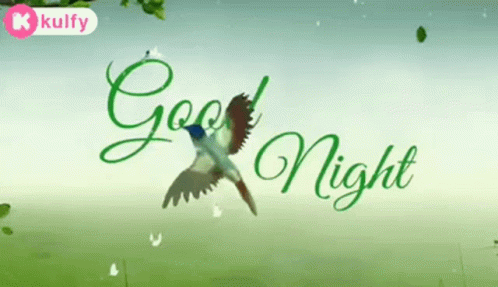Good Night Sweet Dreams GIF - Good Night Sweet Dreams Trending GIFs
