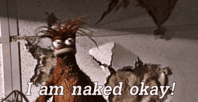 a muppet says i am naked okay in front of a wall