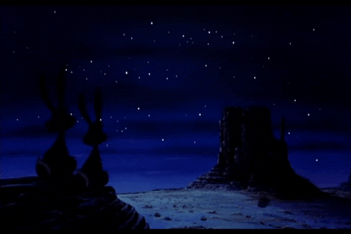 a couple of birds standing on top of a mountain looking at the stars