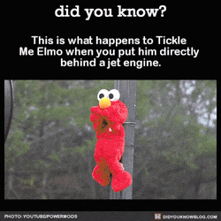 a picture of elmo hanging from a pole with a caption that says " did you know "