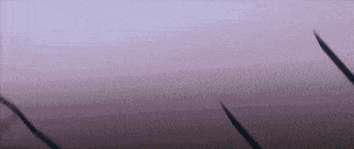a purple background with a lot of dots and lines on it