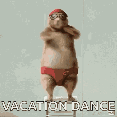 a squirrel wearing red swim trunks and goggles is dancing on a stool .