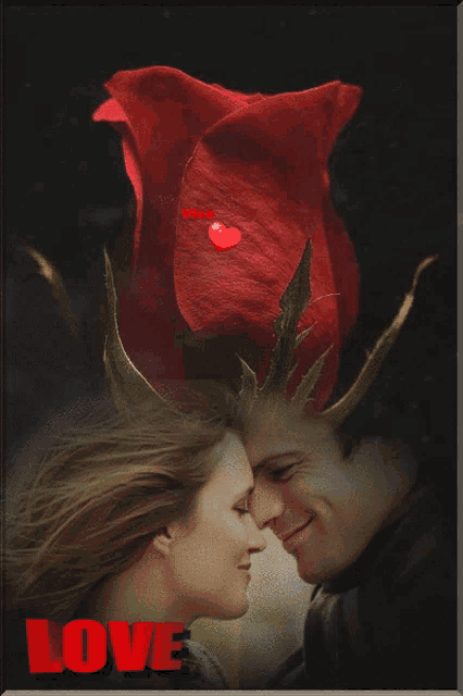 a man and woman are looking at each other with a red rose in the background and the word love on the bottom