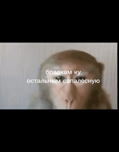 a close up of a monkey 's face with the words bradkam ky written above it