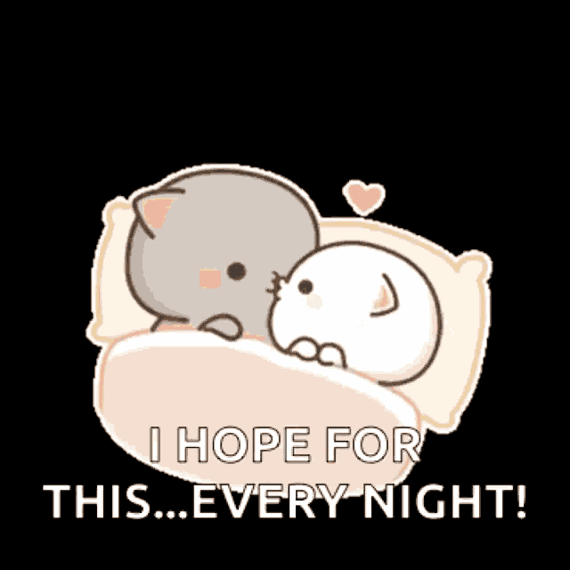 a couple of cats laying in a bed with the words `` i hope for this every night '' written on the bottom .