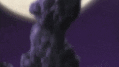 a close up of a person holding a purple flower in front of a full moon .