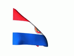 Bandera Paraguay GIF