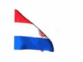 the flag of paraguay is waving in the wind