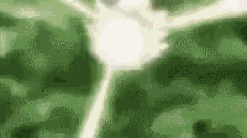 a close up of a white light coming out of a green background .