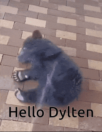 a black bear cub is laying on a brick floor and the words hello dylten are above it