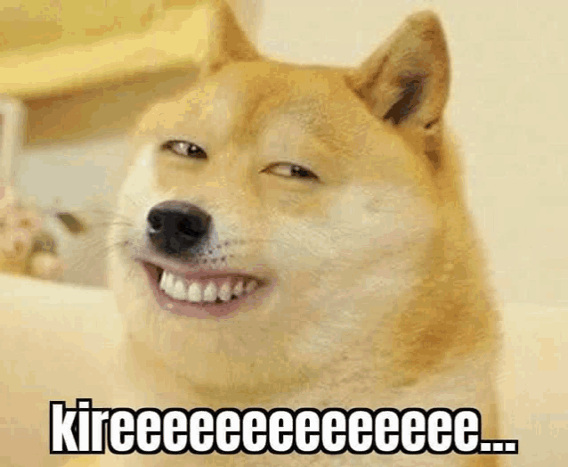 Kire Doge Kire Meme
