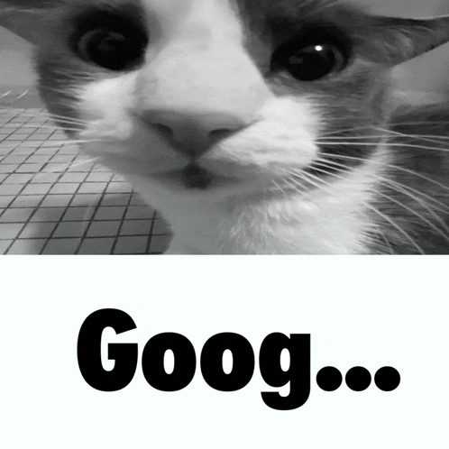a black and white photo of a cat and the word goog below it