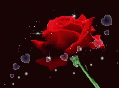 Love Rose GIF - Love Rose Hearts GIFs