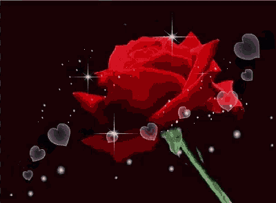 a red rose with hearts around it on a black background