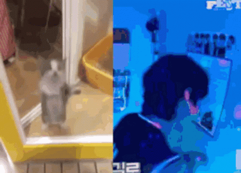 Sunakook Cat GIF - Sunakook Cat Taehyung GIFs