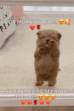 a puppy is standing in front of a window and says good morning bibi so excited to see you today !