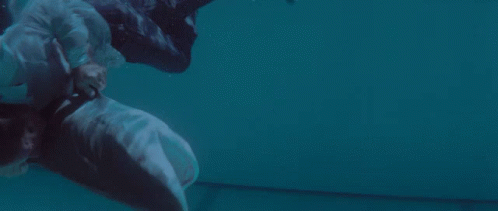 Jaws Accident GIF - Jaws Accident Bite GIFs